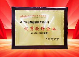 喜讯丨维多利亚老品牌VIC数据获评2024~2025年度武汉市软件行业“优秀企业”、“优秀工作者”荣誉称号！